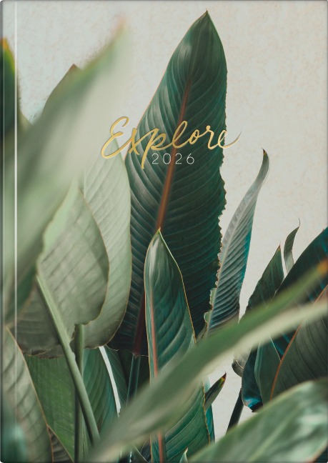 rido/idé 7021507036 | Buchkalender Young Line 2026 "Explore" | A5, Papier - 