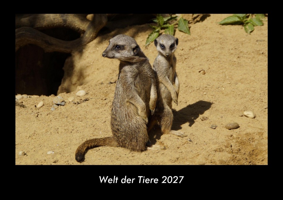 Welt der Tiere 2027 Fotokalender DIN A3 - Tobias Becker
