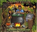 Cover-Bild zum Titel 'The Roots Of Dubstep' von 'Mad'