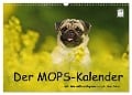 Der MOPS-Kalender (Wandkalender 2024 DIN A3 quer), CALVENDO Monatskalender - Kathrin Köntopp