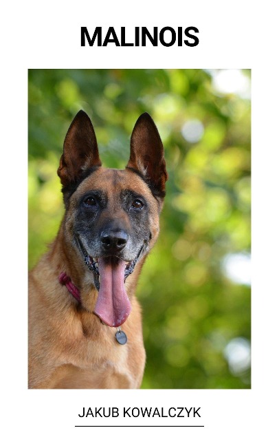 Malinois - Jakub Kowalczyk