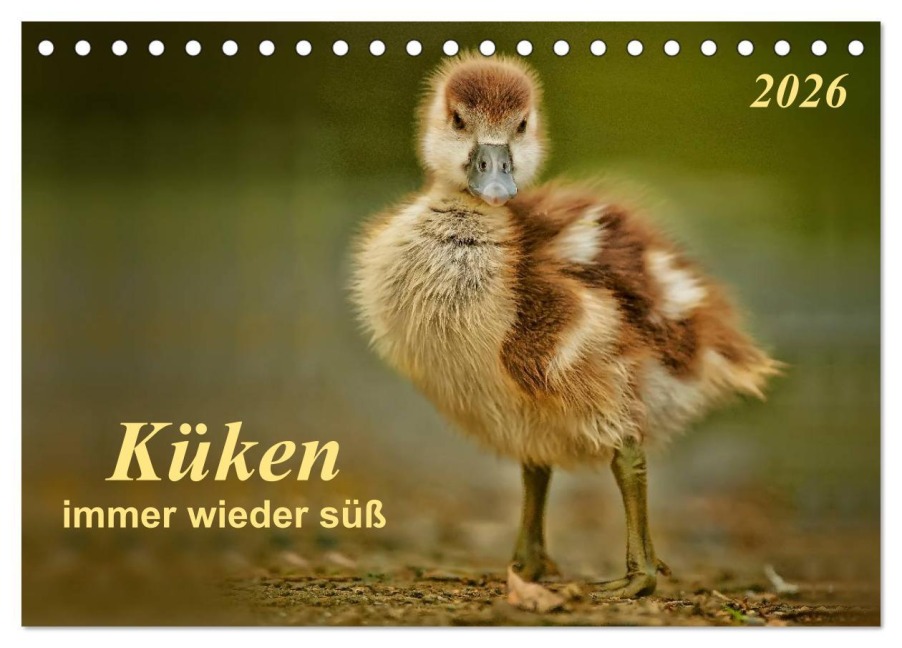 Küken - immer wieder süß (Tischkalender 2026 DIN A5 quer), CALVENDO Monatskalender - Peter Roder Küken - immer wieder süß (Tischkalender 2026 DIN A5 quer), CALVENDO Monatskalender - Peter Roder