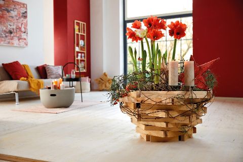 InsideView 1