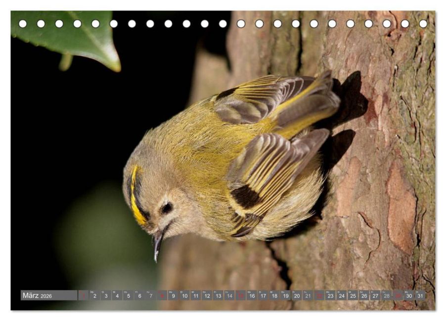 InsideView 8