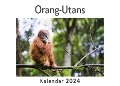 Cover-Bild zum Titel 'Orang-Utans (Wandkalender 2024, Kalender DIN A4 quer, Monatskalender im Querformat mit Kalendarium, Das perfekte Geschenk)' von 'Anna Müller'