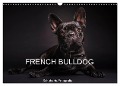 French Bulldog (Wandkalender 2024 DIN A3 quer), CALVENDO Monatskalender - Schuberts-Fotografie Schuberts-Fotografie
