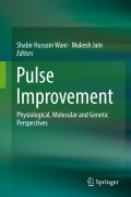 Cover-Bild zum Titel 'Pulse Improvement' von ''