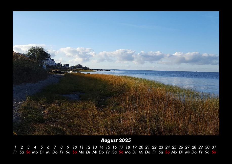 InsideView 12