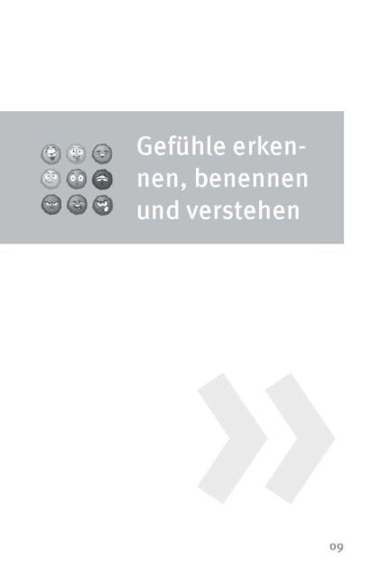 InsideView 4