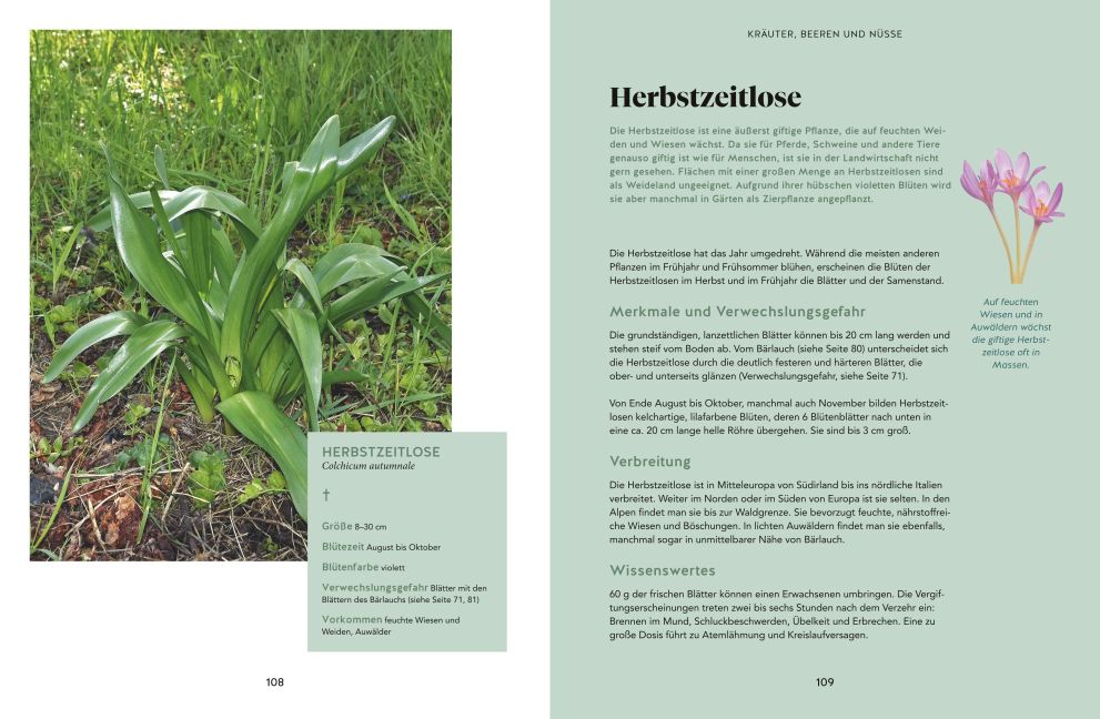 InsideView 5