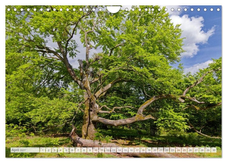 InsideView 9