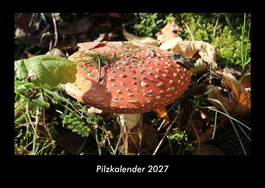 Pilzkalender 2027 Fotokalender DIN A3 - Tobias Becker