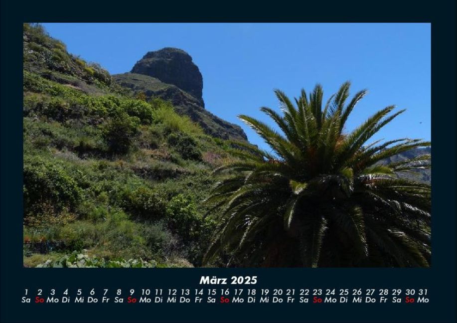 InsideView 7