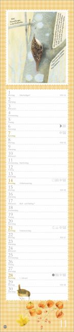 InsideView 11