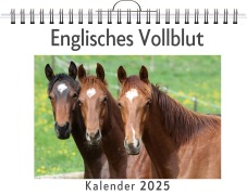 Cover-Bild zum Titel 'Englisches Vollblut' von 'Jonah Becker'