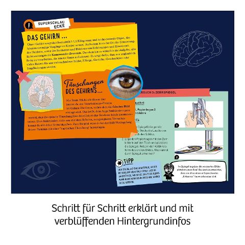 InsideView 5