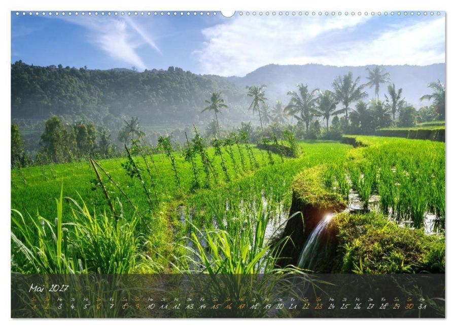 InsideView 9