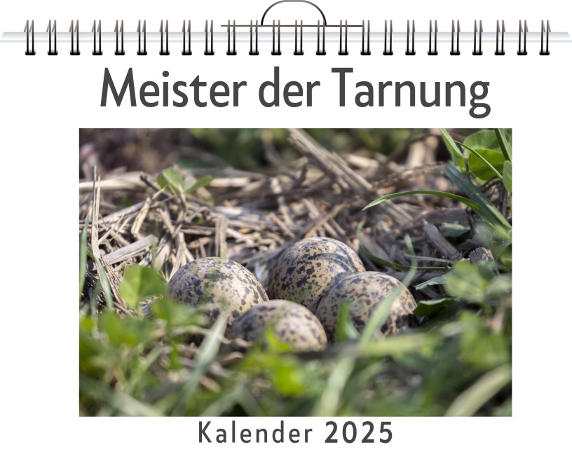 Meister der Tarnung - (Wandkalender 2025, Kalender DIN A4 quer, Monatskalender im Querformat mit Kalendarium, das perfekte Geschenk) - Laura Krause