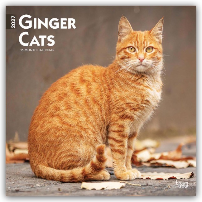 Ginger Cats - Gingerkatzen - Rote Katzen 2027 - 16-Monatskalender - Browntrout Publishers