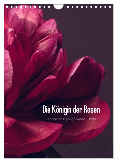 Die Königin der Rosen (Wandkalender 2026 DIN A4 hoch), CALVENDO Monatskalender - Susanne Stark Sugarsweet - Photo