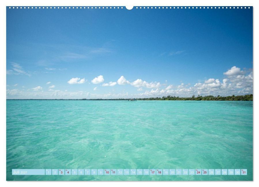 InsideView 8