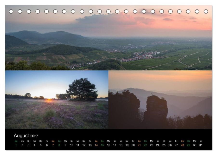 InsideView 13