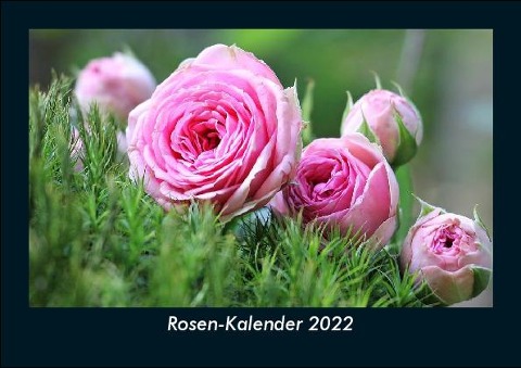 Rosen-Kalender 2022 Fotokalender DIN A5 - Tobias Becker
