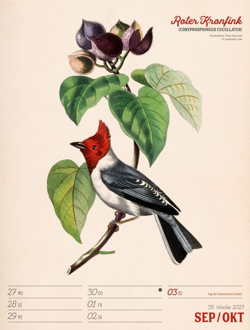 InsideView 43
