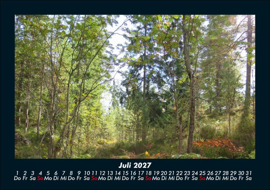 InsideView 11