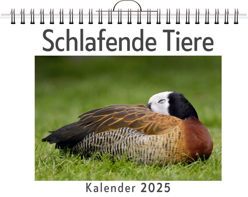 Schlafende Tiere - (Wandkalender 2025, Kalender DIN A4 quer, Monatskalender im Querformat mit Kalendarium, das perfekte Geschenk) - Max Schäfer
