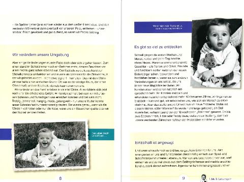 InsideView 2