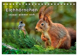 Eichhörnchen - immer wieder süß (Tischkalender 2026 DIN A5 quer), CALVENDO Monatskalender - Peter Roder
