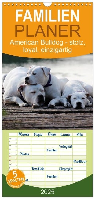 Familienplaner 2025 - American Bulldog - stolz, loyal, einzigartig mit 5 Spalten (Wandkalender, 21 x 45 cm) CALVENDO - Denise Schmöhl