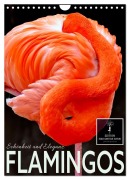 Cover-Bild zum Titel 'Flamingos - Eleganz und Schönheit (Wandkalender 2026 DIN A4 hoch), CALVENDO Monatskalender' von 'Peter Roder'