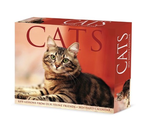 Cats 2024 6.2 X 5.4 Box Calendar - Willow Creek Press