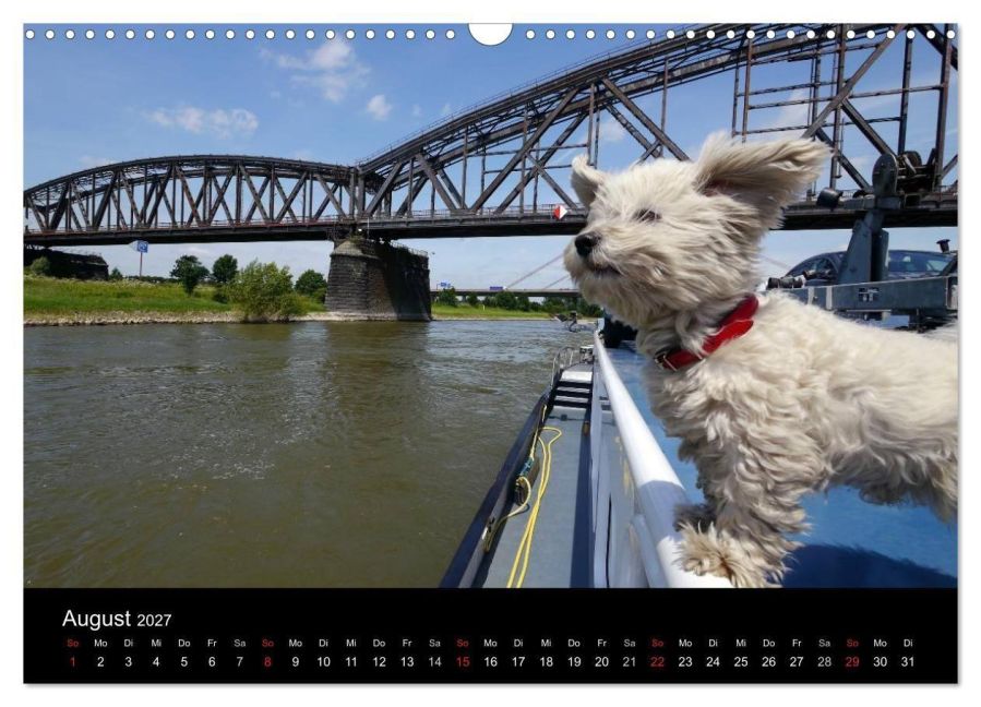 InsideView 13