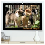 Cover-Bild zum Titel 'Islandhund - Welpen / CH-Version (hochwertiger Premium Wandkalender 2026 DIN A2 quer), Kunstdruck in Hochglanz' von 'Jamfoto Angelika Möthrath'