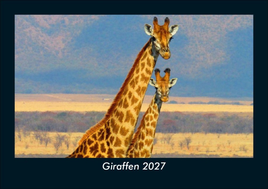 Giraffen 2027 Fotokalender DIN A5 - Tobias Schmitt, Kevin Heber