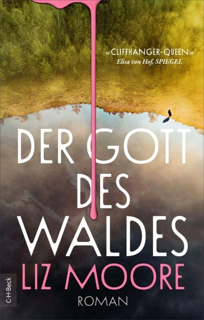 Der Gott des Waldes - Liz Moore