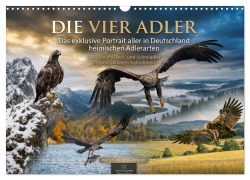 Cover-Bild zum Titel 'Die vier Adler - Das exklusive Portrait aller in Deutschland heimischen Adler (Wandkalender 2027 DIN A3 quer), CALVENDO Monatskalender' von 'Arne Wünsche'