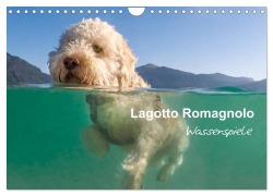 Lagotto Romagnolo - Wasserspiele (Wandkalender 2026 DIN A4 quer), CALVENDO Monatskalender - Wuffclick-Pic Wuffclick-Pic