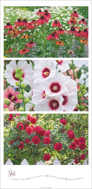 InsideView 7