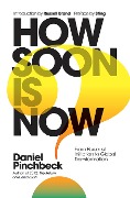 How Soon is Now? Sampler - Daniel Pinchbeck