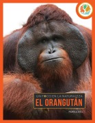 Cover-Bild zum Titel 'El Orangután' von 'Pamela Dell'