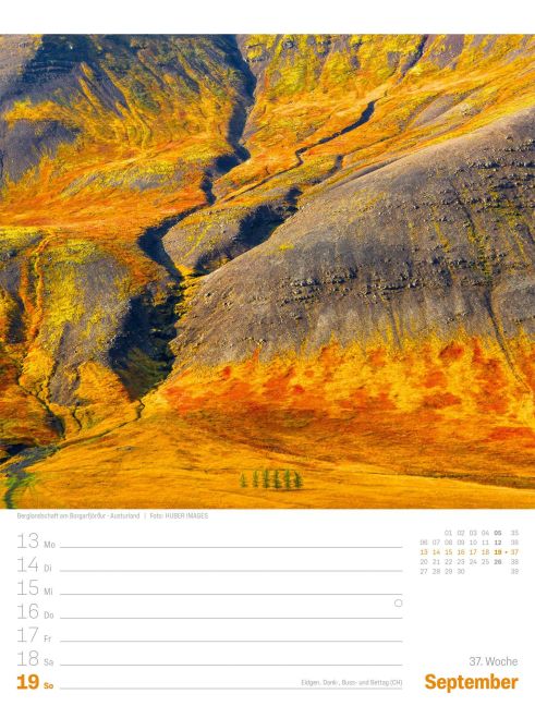 InsideView 41
