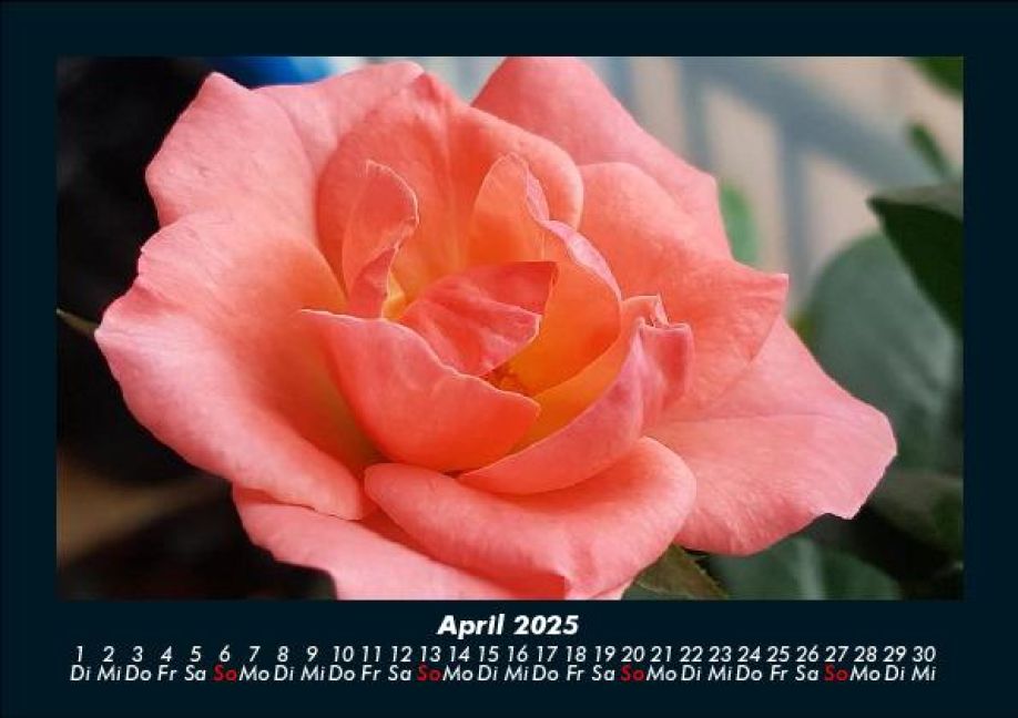 InsideView 8