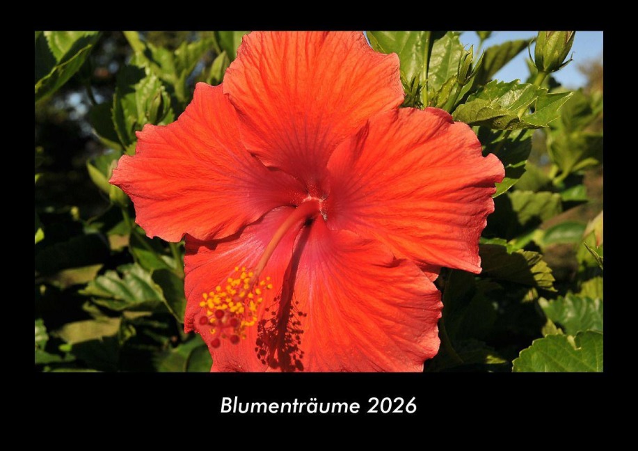 Blumenträume 2026 Fotokalender DIN A3 - Tobias Becker