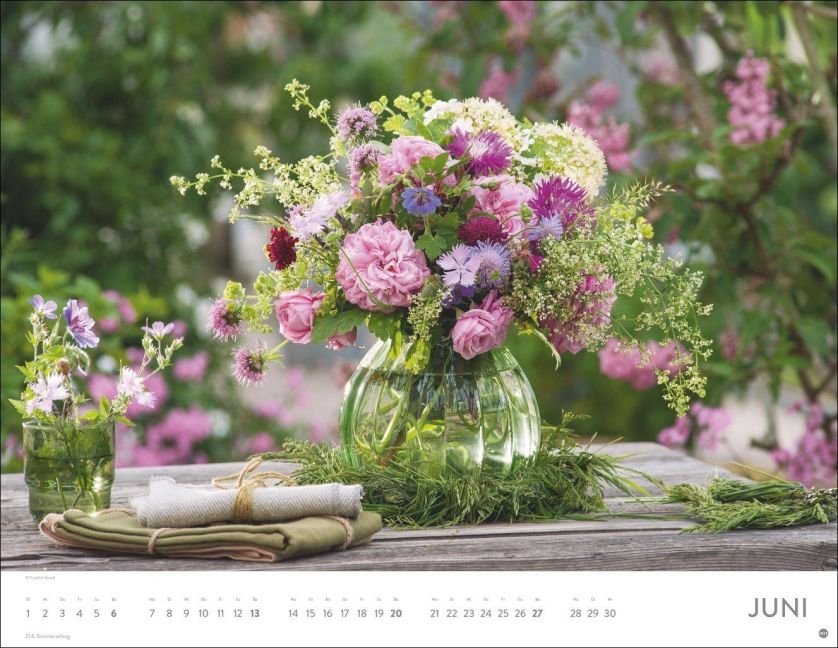 InsideView 6