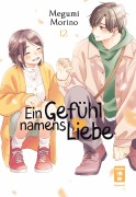 Cover-Bild zum Titel 'Ein Gefühl namens Liebe 12' von 'Megumi Morino'