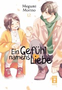 Cover-Bild zum Titel 'Ein Gefühl namens Liebe 12' von 'Megumi Morino'